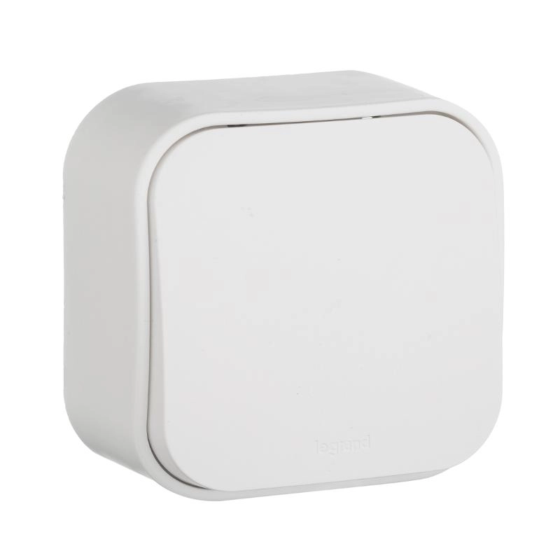 ОписаниеПередаваемогоФайла