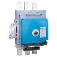 ОписаниеПередаваемогоФайла