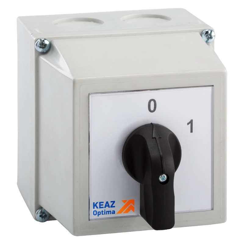 ОписаниеПередаваемогоФайла