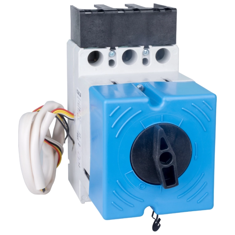 ОписаниеПередаваемогоФайла