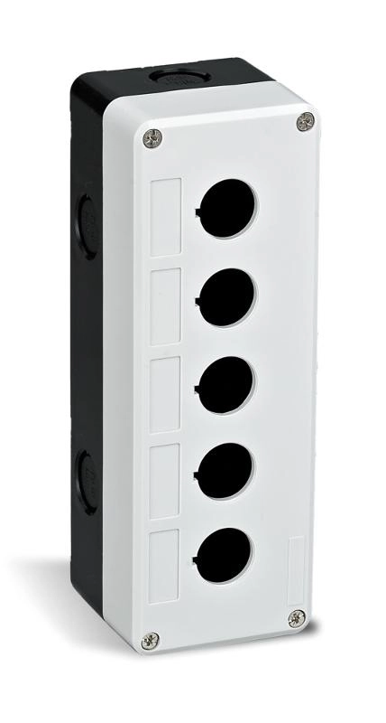 ОписаниеПередаваемогоФайла