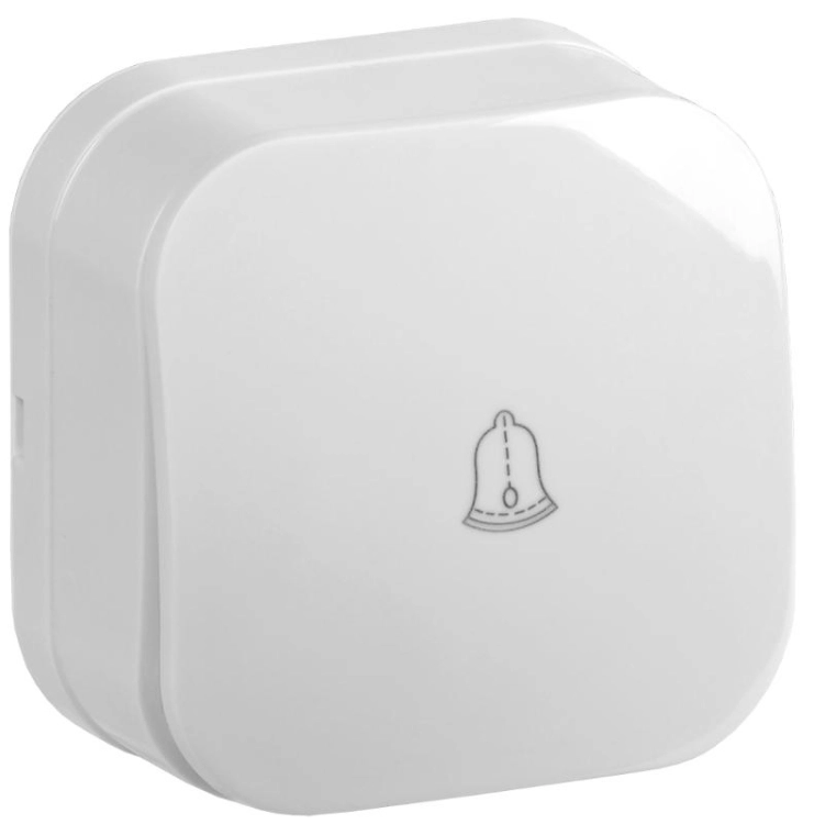 ОписаниеПередаваемогоФайла