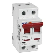 ОписаниеПередаваемогоФайла ОписаниеПередаваемогоФайла