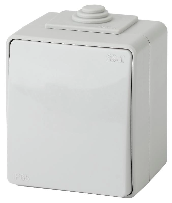 ОписаниеПередаваемогоФайла