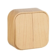 ОписаниеПередаваемогоФайла