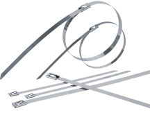 ОписаниеПередаваемогоФайла