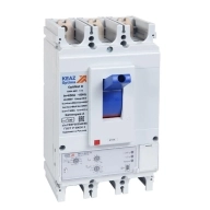 ОписаниеПередаваемогоФайла