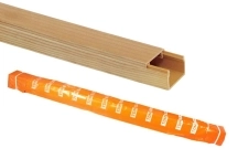 ОписаниеПередаваемогоФайла ОписаниеПередаваемогоФайла