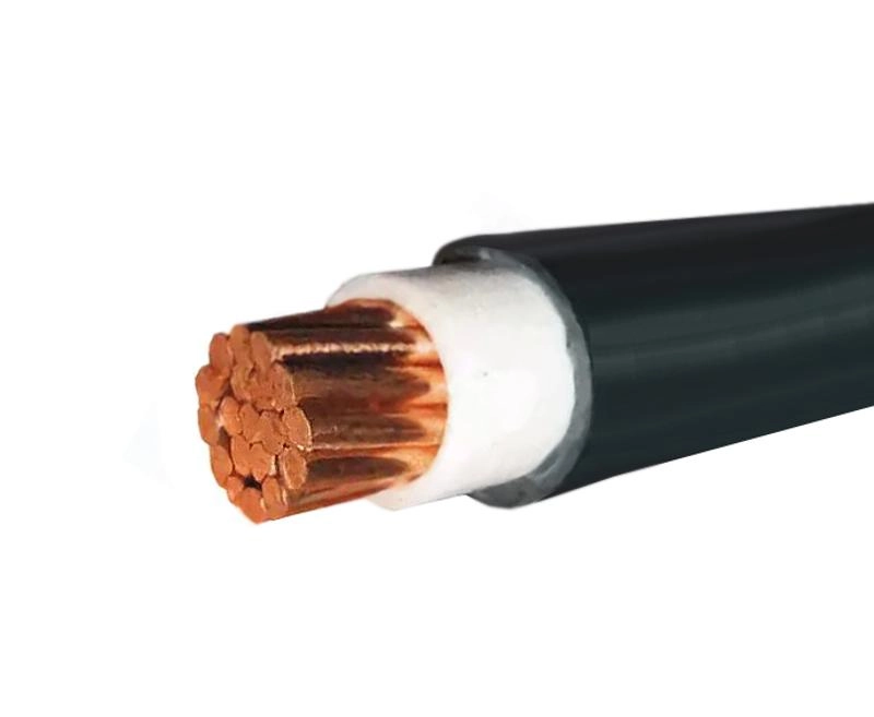 ОписаниеПередаваемогоФайла