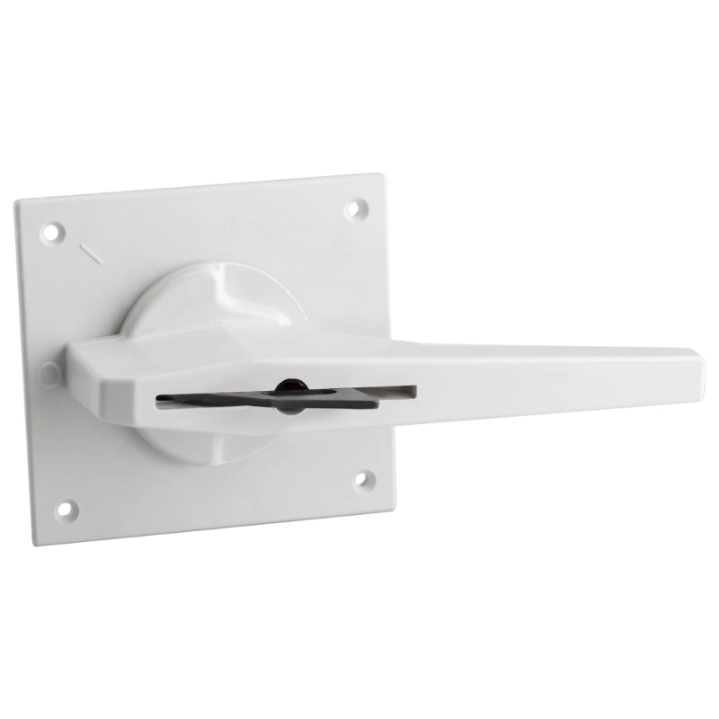 ОписаниеПередаваемогоФайла