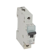 ОписаниеПередаваемогоФайла