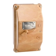 ОписаниеПередаваемогоФайла ОписаниеПередаваемогоФайла