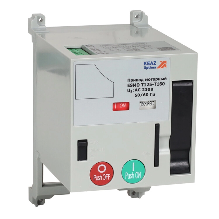 ОписаниеПередаваемогоФайла