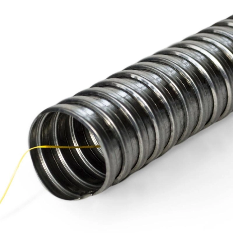 ОписаниеПередаваемогоФайла