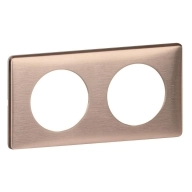 ОписаниеПередаваемогоФайла