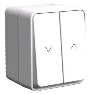 ОписаниеПередаваемогоФайла