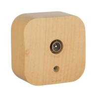 ОписаниеПередаваемогоФайла