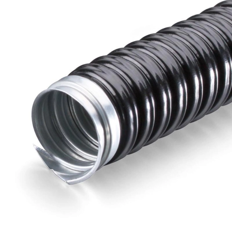 ОписаниеПередаваемогоФайла