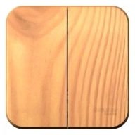 ОписаниеПередаваемогоФайла