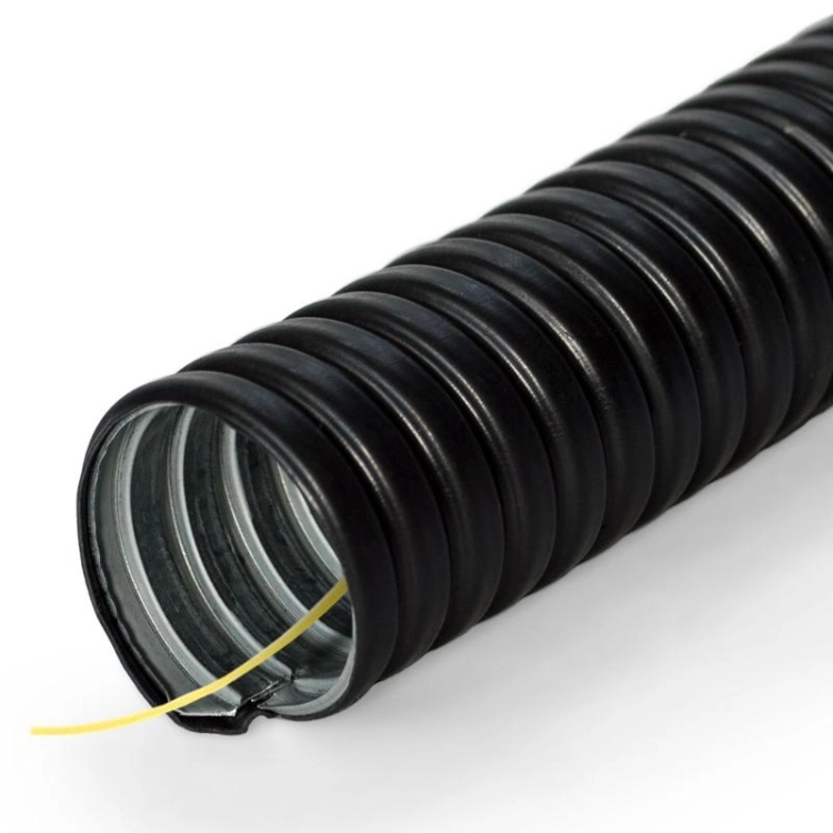 ОписаниеПередаваемогоФайла