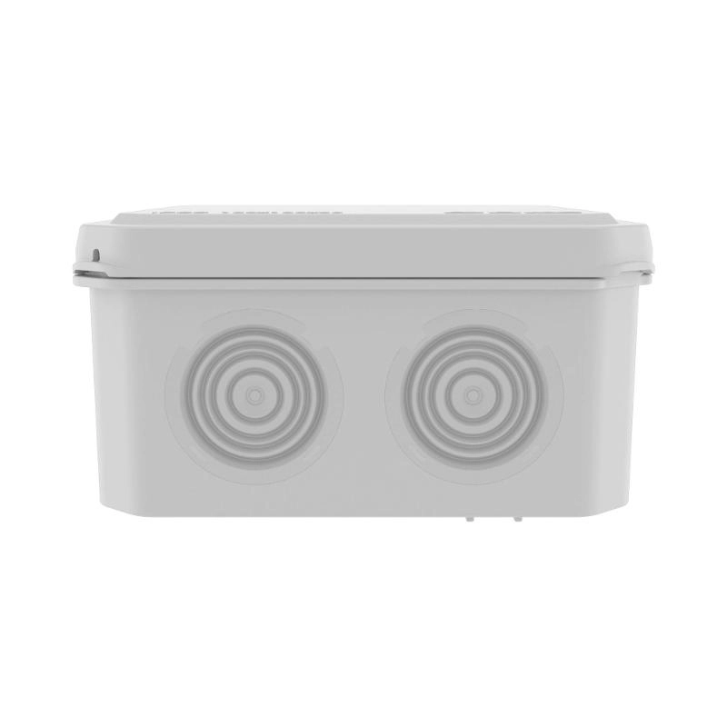 ОписаниеПередаваемогоФайла