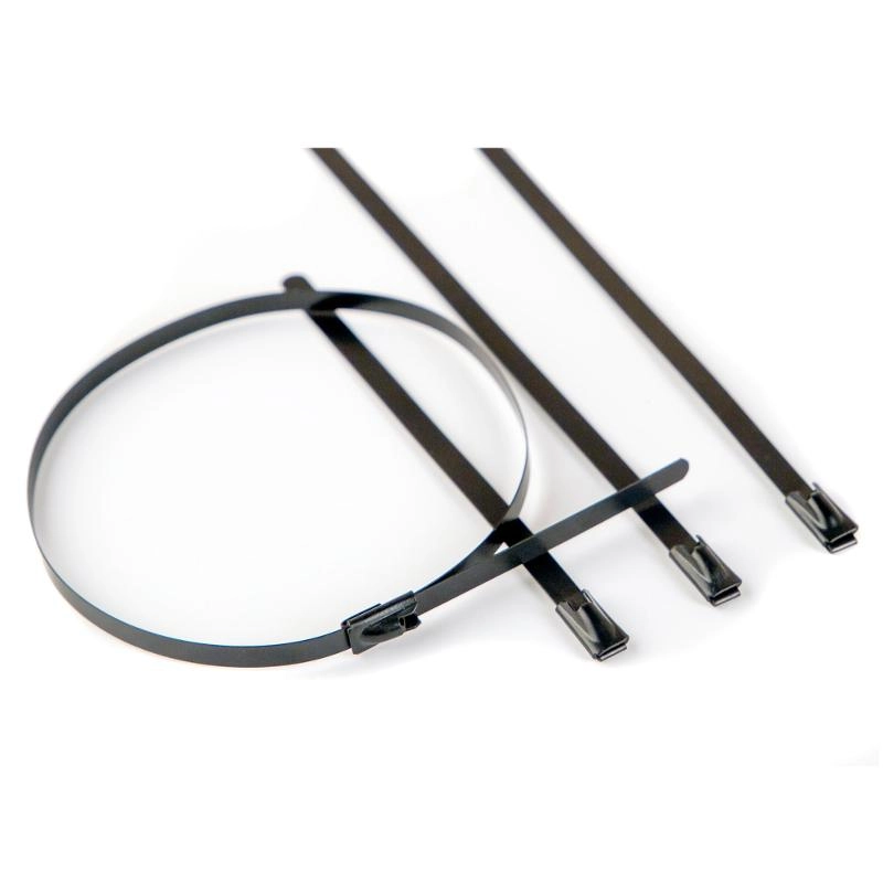 ОписаниеПередаваемогоФайла