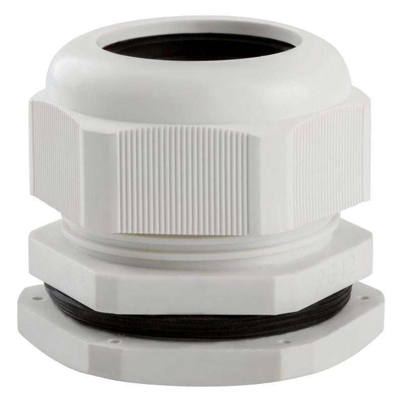 ОписаниеПередаваемогоФайла