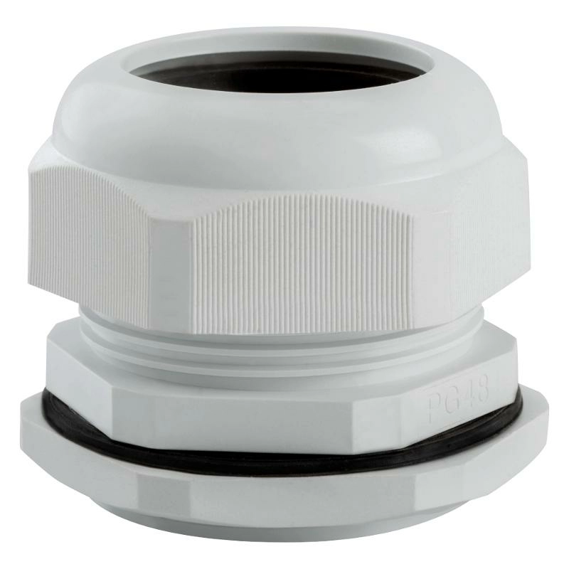 ОписаниеПередаваемогоФайла