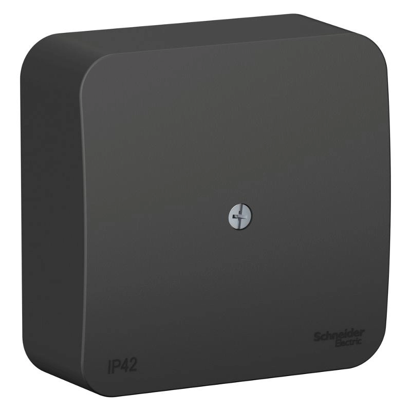 ОписаниеПередаваемогоФайла