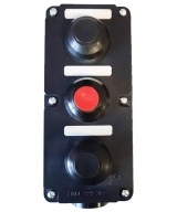 ОписаниеПередаваемогоФайла