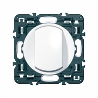 ОписаниеПередаваемогоФайла