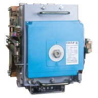 ОписаниеПередаваемогоФайла