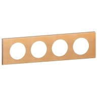 ОписаниеПередаваемогоФайла