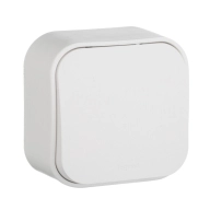 ОписаниеПередаваемогоФайла