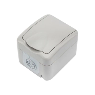 ОписаниеПередаваемогоФайла