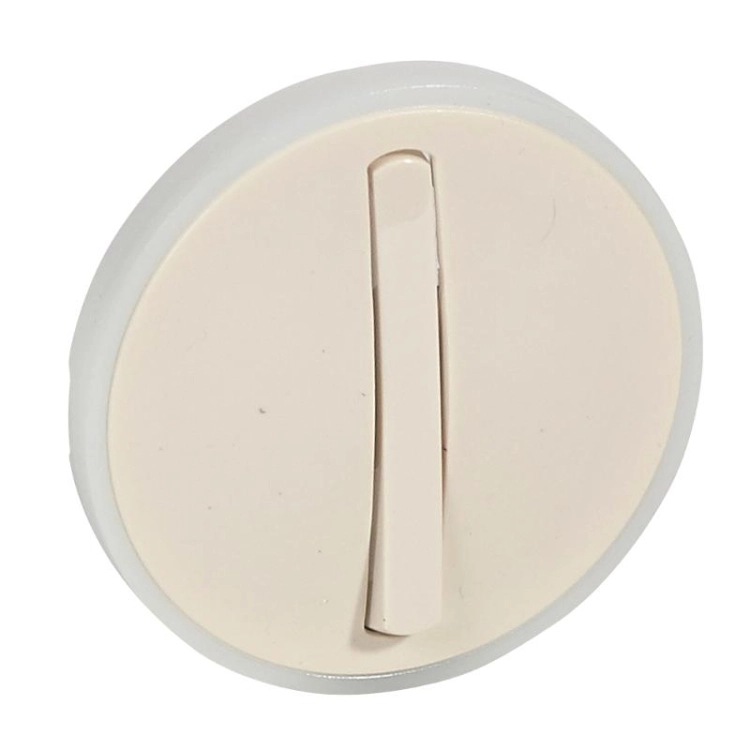 ОписаниеПередаваемогоФайла