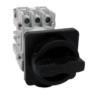 ОписаниеПередаваемогоФайла ОписаниеПередаваемогоФайла