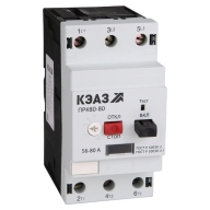 ОписаниеПередаваемогоФайла