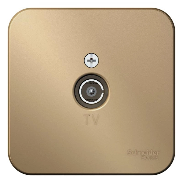 ОписаниеПередаваемогоФайла