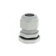 ОписаниеПередаваемогоФайла