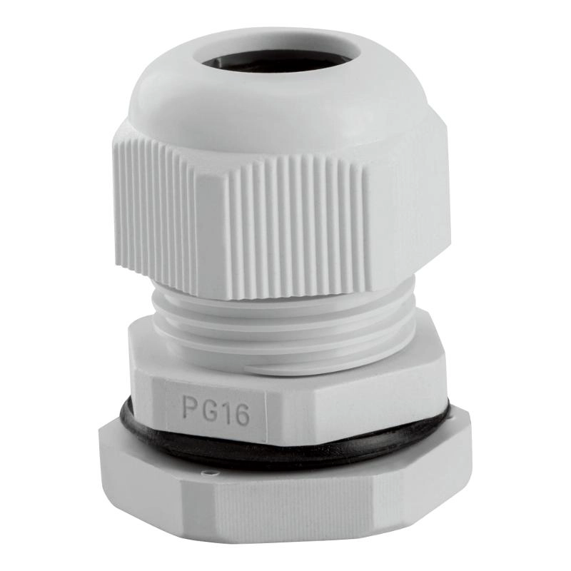 ОписаниеПередаваемогоФайла