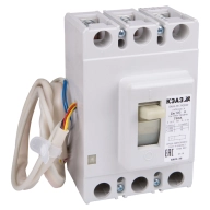 ОписаниеПередаваемогоФайла