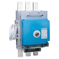 ОписаниеПередаваемогоФайла