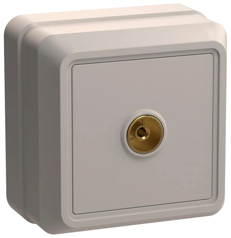 ОписаниеПередаваемогоФайла