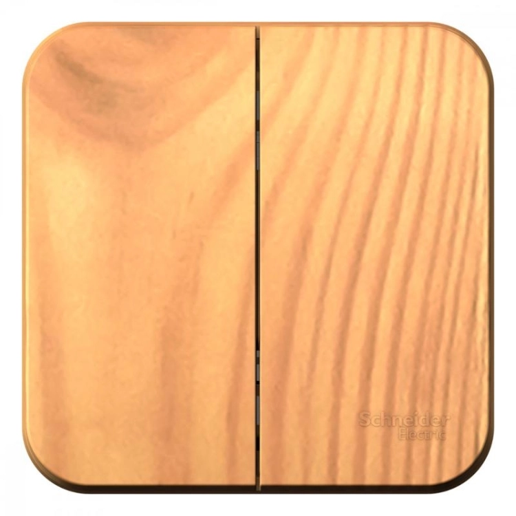 ОписаниеПередаваемогоФайла