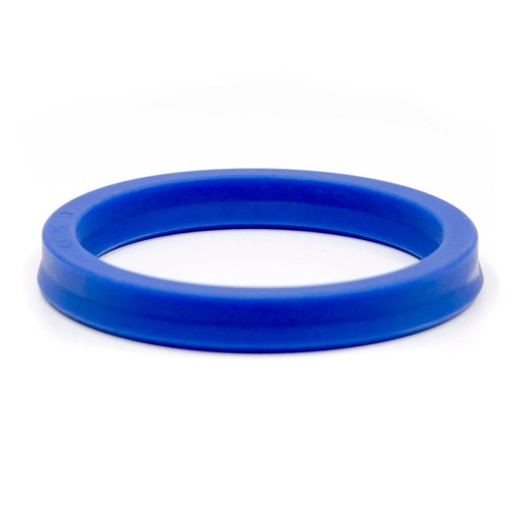 ОписаниеПередаваемогоФайла