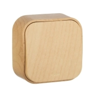 ОписаниеПередаваемогоФайла