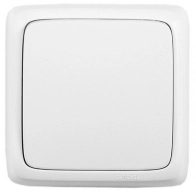 ОписаниеПередаваемогоФайла