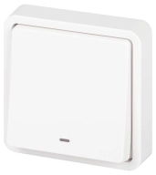 ОписаниеПередаваемогоФайла