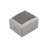 ОписаниеПередаваемогоФайла